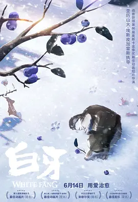 久久久婷婷一区二区三区不卡